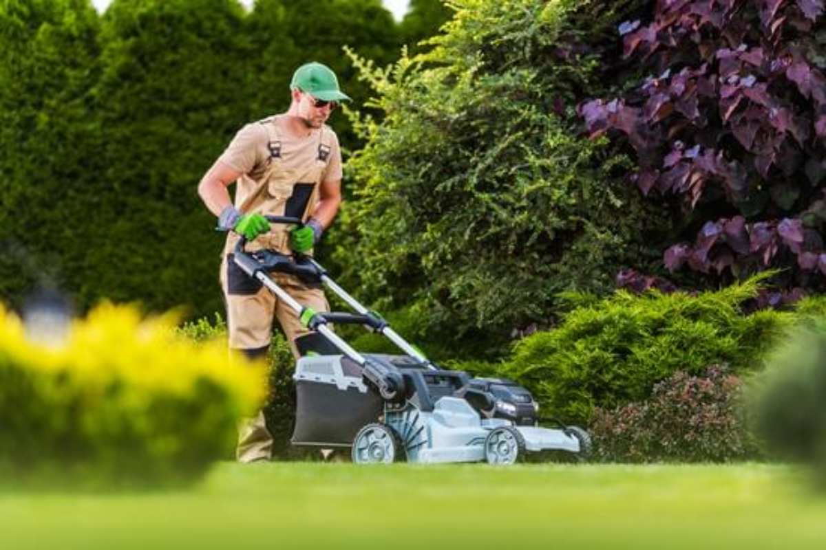 Pouring specialized engine oil into a lawn mower to ensure proper lubrication and long-lasting performance.