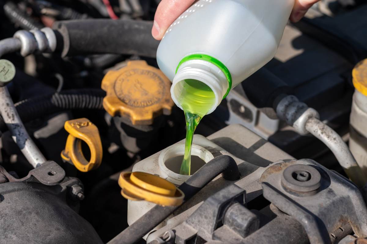 Car engine coolant reservoir showing low fluid level.