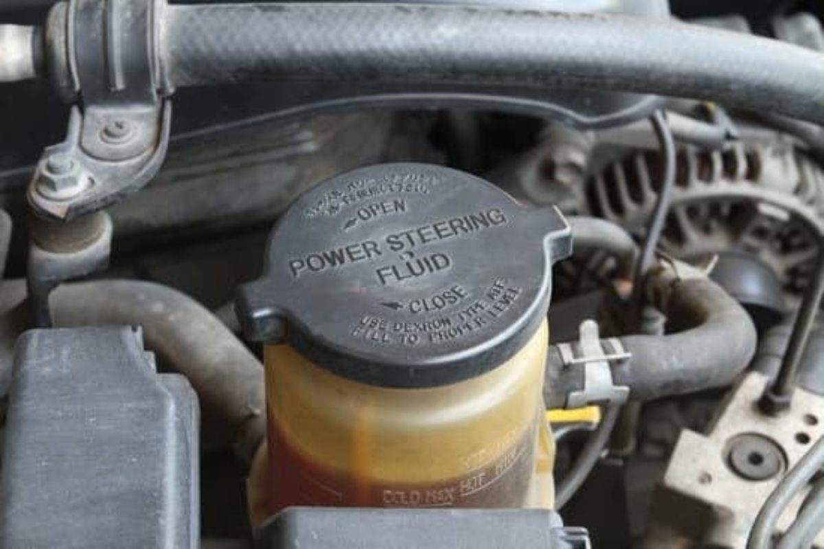 Car owner checking power steering fluid type suitable for their vehicle with fluid bottle and dipstick.
